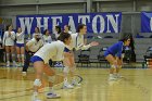 Wheaton Women's Volleyball  Wheaton Women's Volleyball vs Bridgewater State University. : Wheaton, Volleyball, BSU, Bridgewater State College